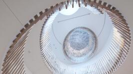 preciosa syd2 295657074 1954227578081186 8273644857010725993 n